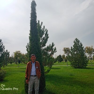  ,   , 67 ,   c 