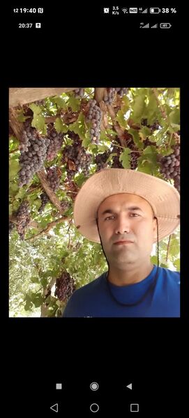  -,   Mansur, 47 ,   ,   , c , 