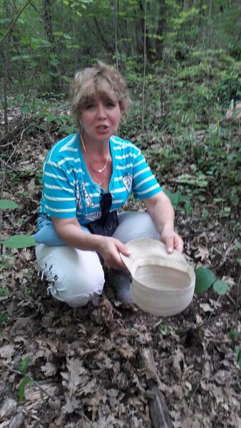  ,   , 59 ,  