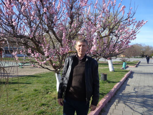  ,   , 57 ,  