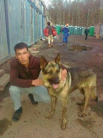  ,   , 40 ,   ,   , c 