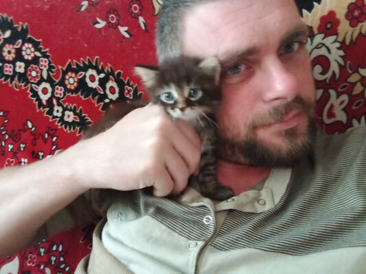  ,   , 35 ,   ,   , c , 