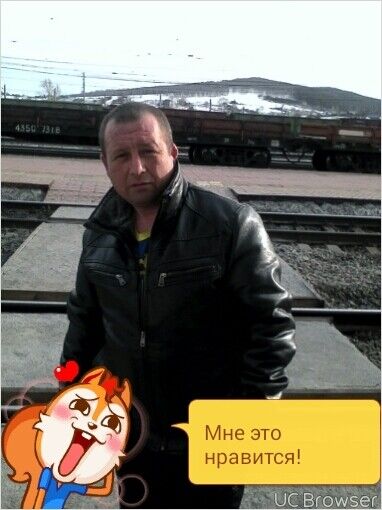  8880454  , 51 ,    