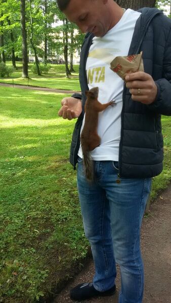  ,   , 38 ,   ,   , c 