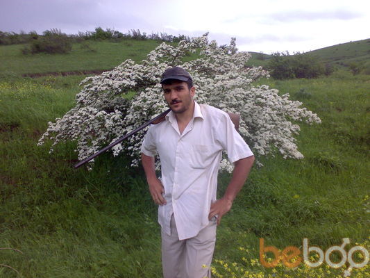  3167784  Samir baz, 43 ,    