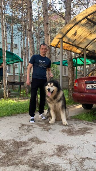  -,   Seryoga, 34 ,   ,   , c , 