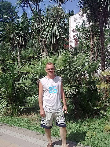  ,   , 53 ,   