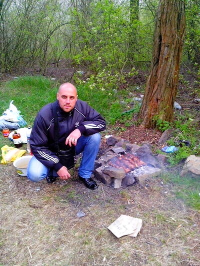  ,   , 41 ,  
