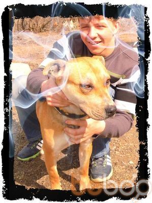  ,   Sasha, 30 ,  