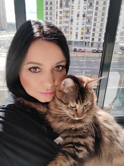  ,   , 41 ,     , c 