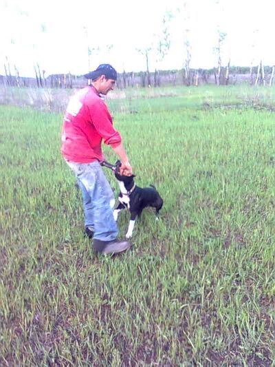  ,   Ulochkin2014, 40 ,   , 