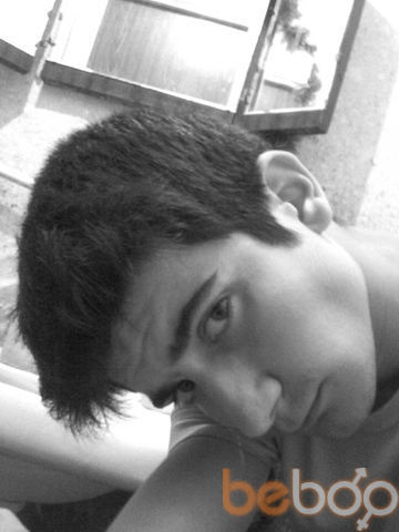  ,   Doberman, 32 ,     , c 