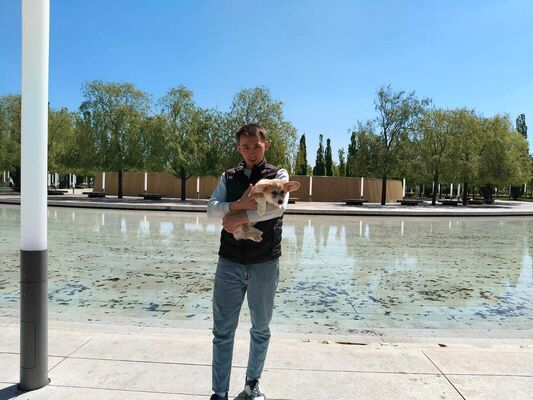  ,   , 26 ,   c , 