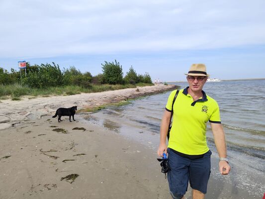  Rinteln,   , 53 ,   ,   