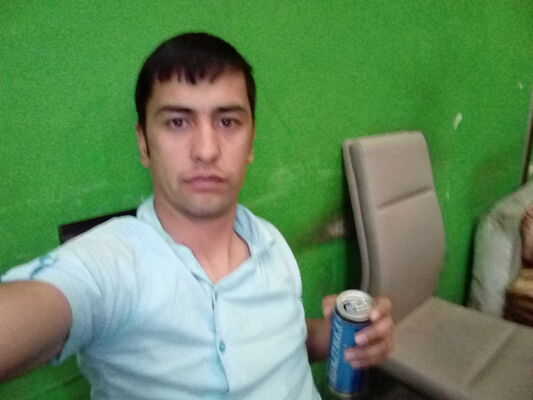  ,   Sardor, 31 ,   ,   , c 