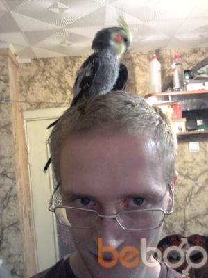 ���������� �������, ���� ������� Molodo, 40 ���, ������������ ��� ������, ����� � ���������, c�������� ���������