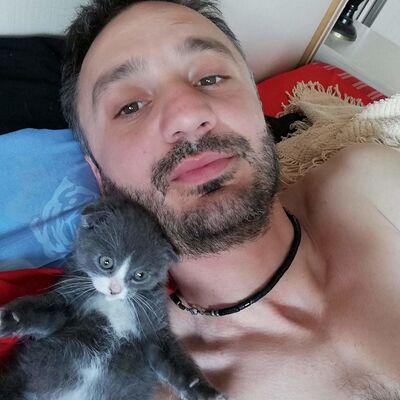 ,       , 41 ,   ,   , c 