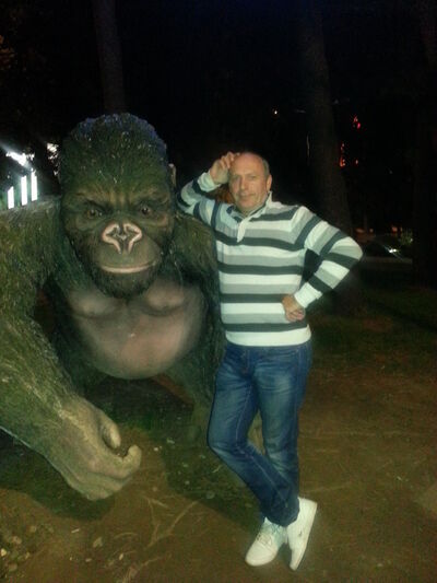  ,   MAXO, 65 ,  