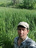  ,   , 52 ,  