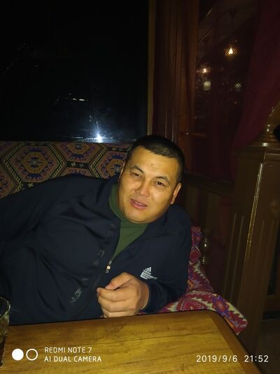  ,   Koko, 45 ,  