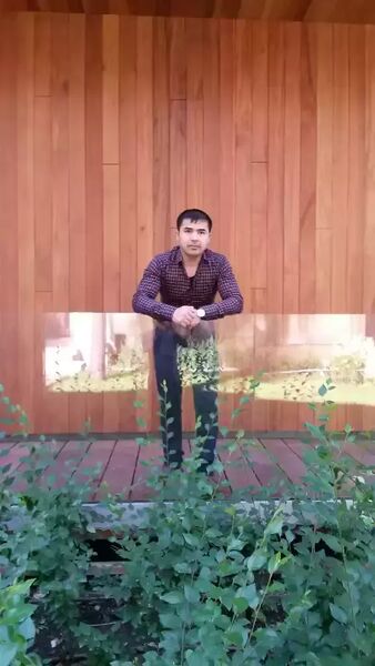  ,   Dovud, 34 ,   c 