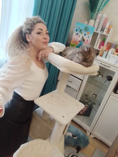  ,   , 41 ,   ,   