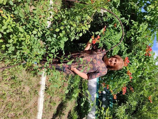 ,   , 65 ,   ,   , c , 