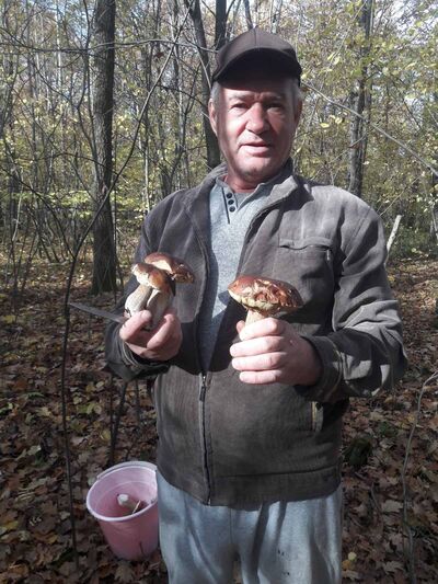   ,   , 63 ,   ,   