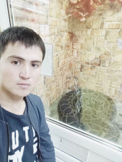  -,   , 31 ,   ,   , c 