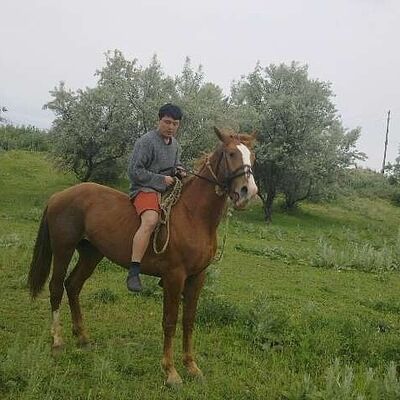  ,   Joni, 33 ,   ,   , c 