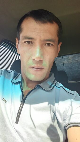  ,   Golib, 36 ,   ,   , 