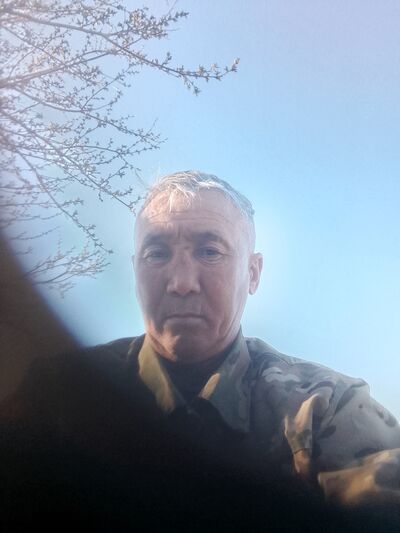  Novy,   , 50 ,   ,   