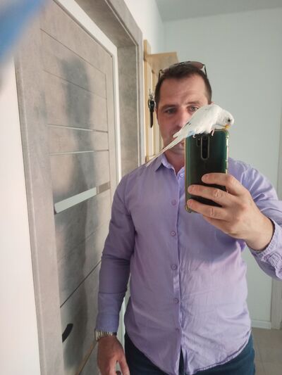  ,   Dima, 44 ,   ,   , c , 