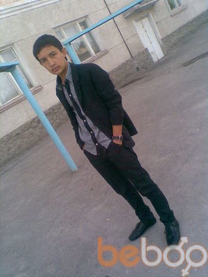  3649534  ADMIRAL, 31 ,    