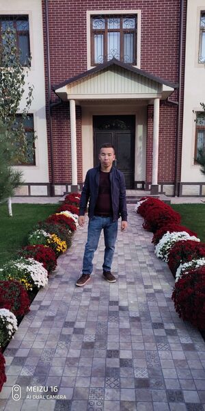  ,   Bohadir, 33 ,   ,   , c 