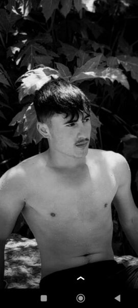  Artvin,   Dural, 24 ,   ,   