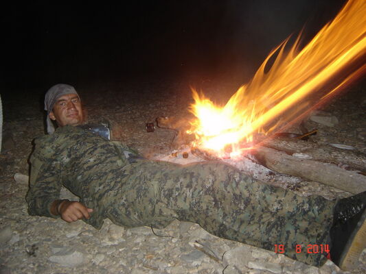 ,   Cerber, 56 ,   ,   , c 
