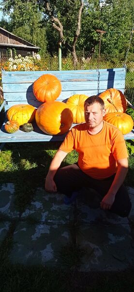  -,   , 45 ,   ,   