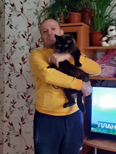  ,   , 52 ,   ,   , 