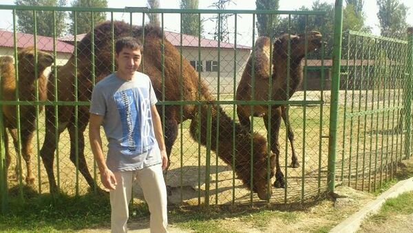 ,   Jamshid, 36 ,   ,   , c , 
