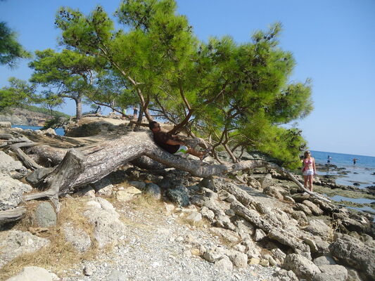  ,   , 54 ,   ,   , c 