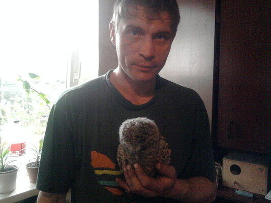  ,   , 46 ,   c , 