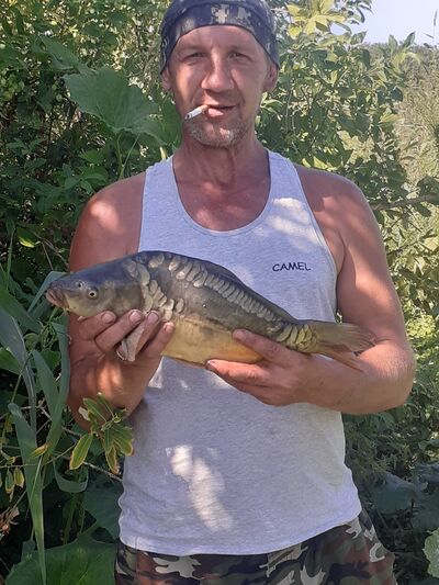  --,   , 49 ,   ,   