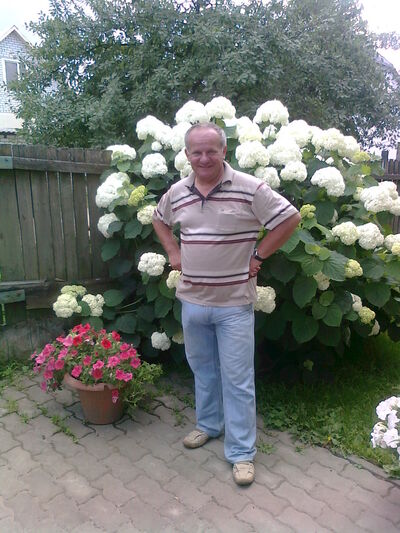  ,   , 59 ,   
