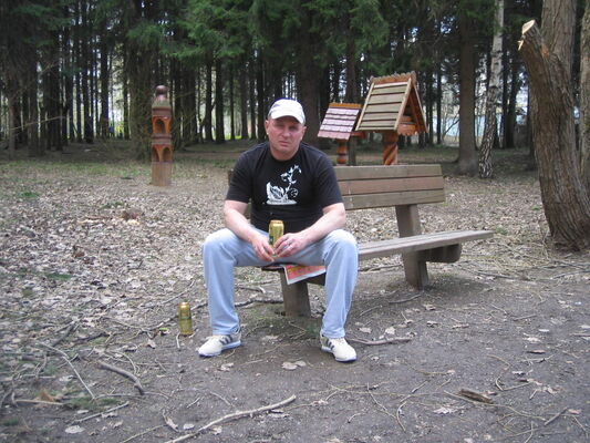  ,   ˸, 53 ,   , 