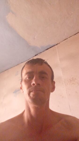  -,   , 46 ,   ,   , c , 