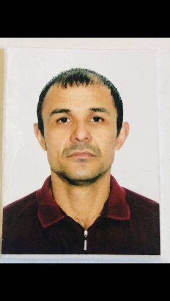  ,   , 43 ,     , 