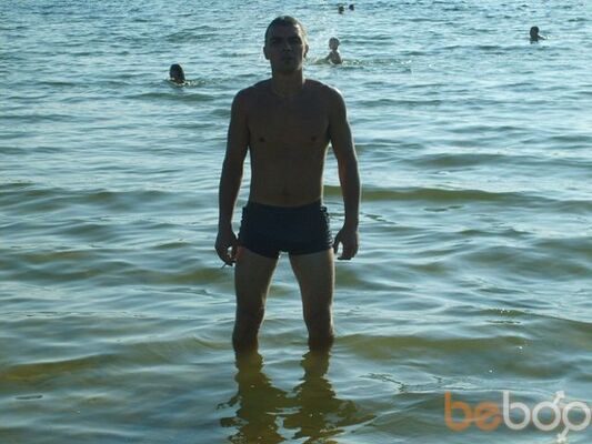  ,   Myauu, 40 ,   