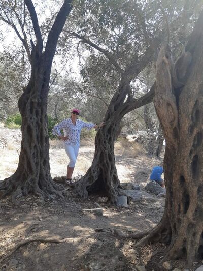  ,   Mila, 57 ,   ,   , c 