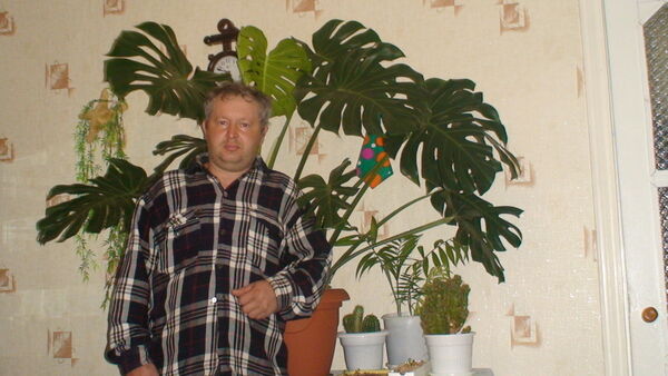  ,   Cerj, 54 ,   